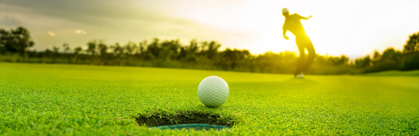 Banner for Things to Do